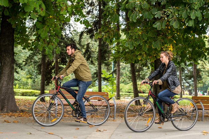 1-Day Bike Rental in Budapest - Choosing between the Gepida low-step and high-step bikes
