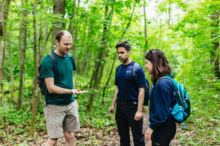 Budapest: Buda Hills Guided Hiking Tour with Optional Lunch - Key points to know before you go