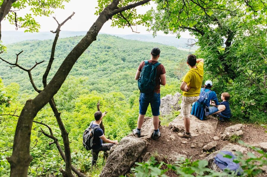 Budapest: Buda Hills Guided Hiking Tour with Optional Lunch - Why this half-day hike works in a city break