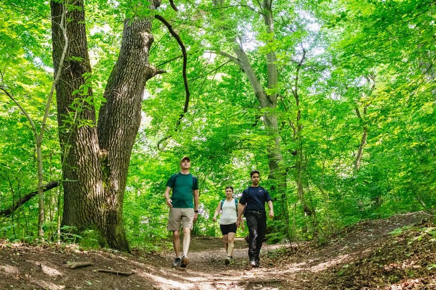Budapest: Buda Hills Guided Hiking Tour with Optional Lunch - Walking the Normafa trails