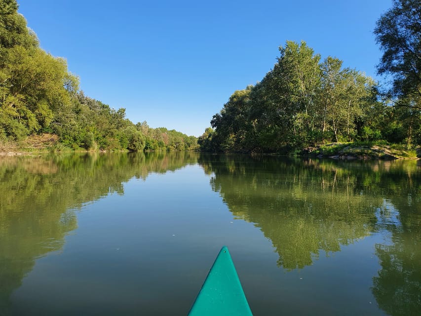 Budapest: Canoeing the Danube w or wo Sauna or Danube Beach - Key points to know before you book