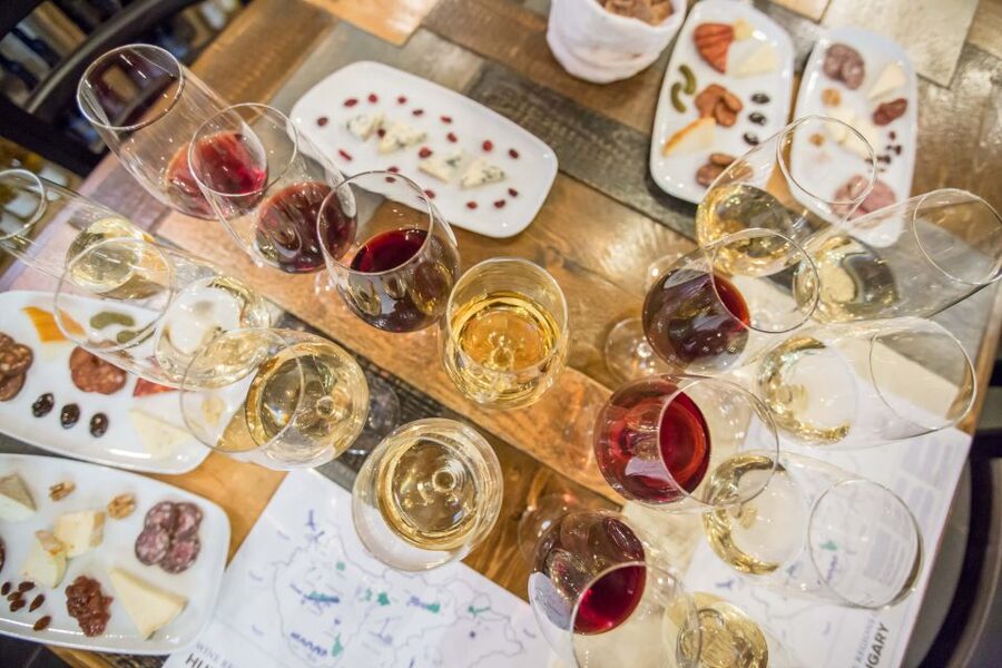 Budapest: Essentials of Hungarian Wine Tasting Class - The first glasses explain why Hungary is worth exploring