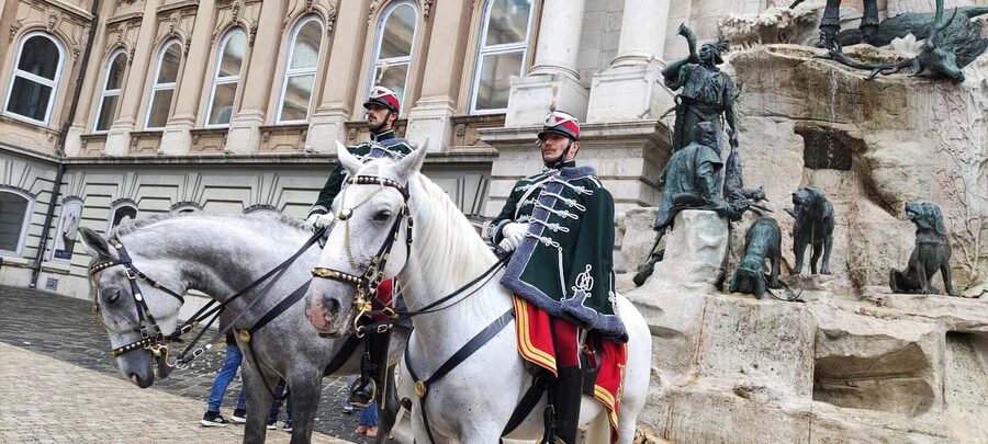 Budapest: Guided City Walking Tour in Buda and Pest - The former government district and Royal Castle