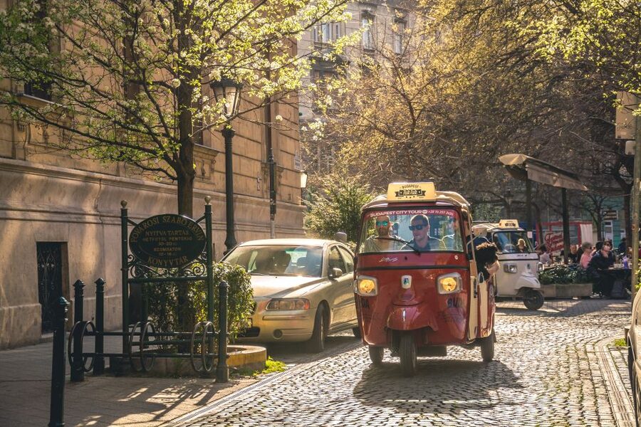 Budapest: Half-Day Exclusive Highlights Private Tour - What your guide adds to the ride