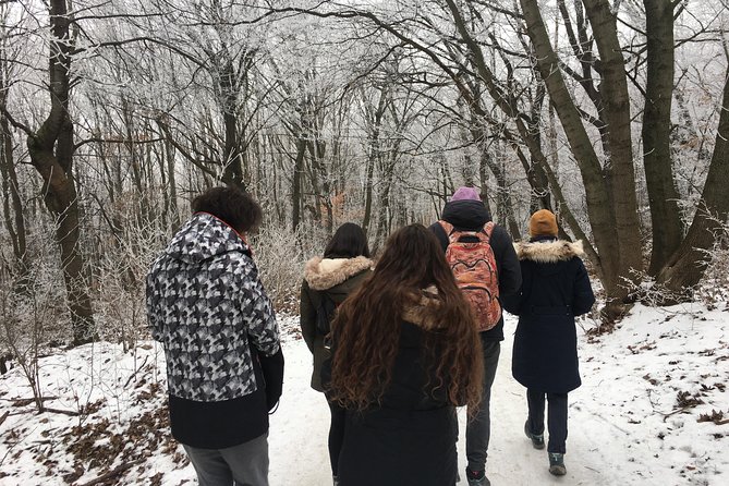 Budapest Hike - Walking through the forest with a local guide