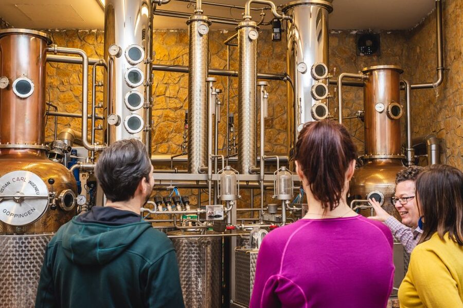 Budapest: Hungarian Whisky, Gin, and Pálinka Tasting - Key points to know before booking