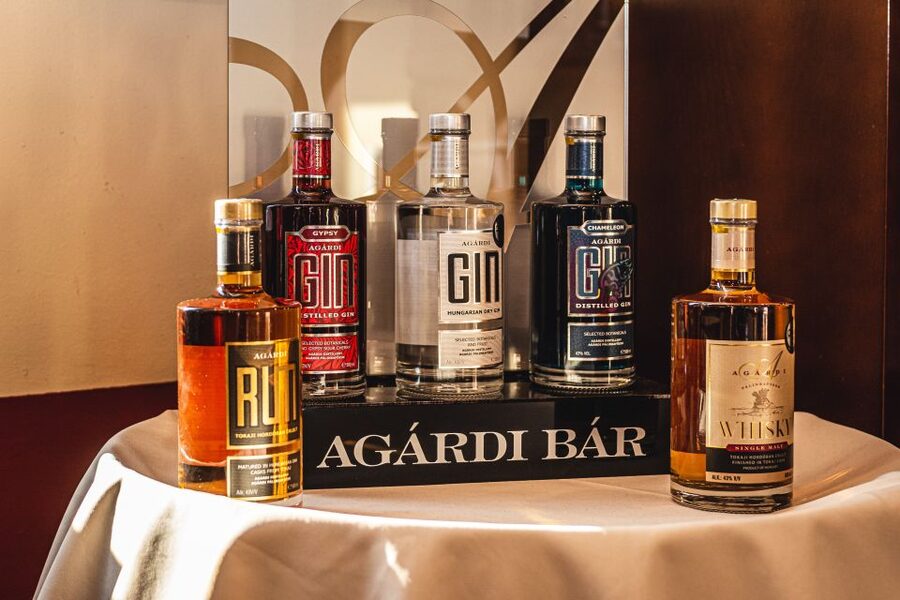 Budapest: Hungarian Whisky, Gin, and Pálinka Tasting - The 45-minute ride to Agardi Distillery