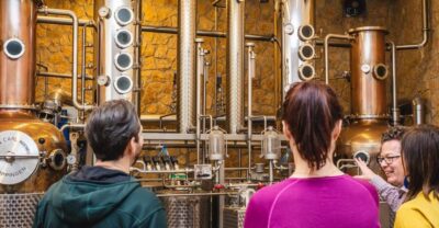 Hungarian Whisky, Gin, and Pálinka Tasting