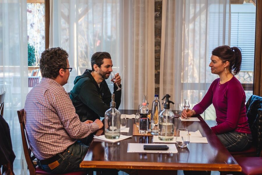 Budapest: Hungarian Whisky, Gin, and Pálinka Tasting - Tasting six pálinkas, gin, and whisky