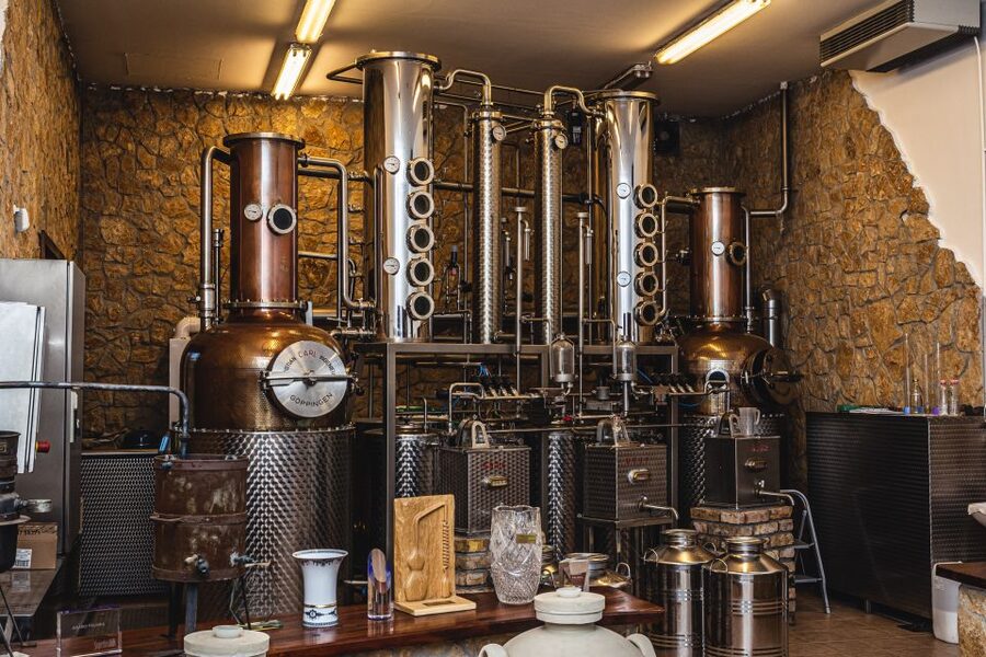 Budapest: Hungarian Whisky, Gin, and Pálinka Tasting - Small plates and the role of food