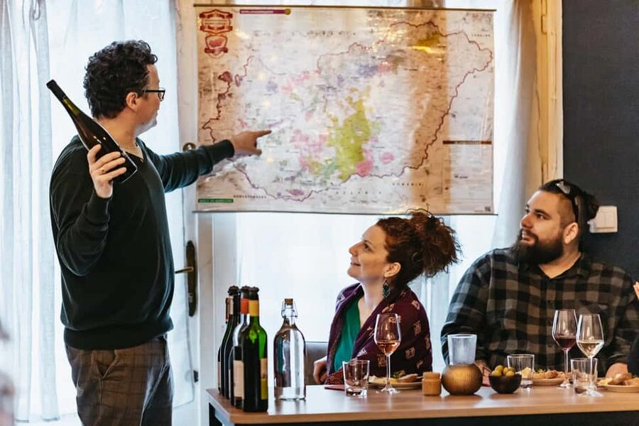 Budapest: Hungarian Wine Tasting with 7 Wines and Tapas - Is $62 a fair price?