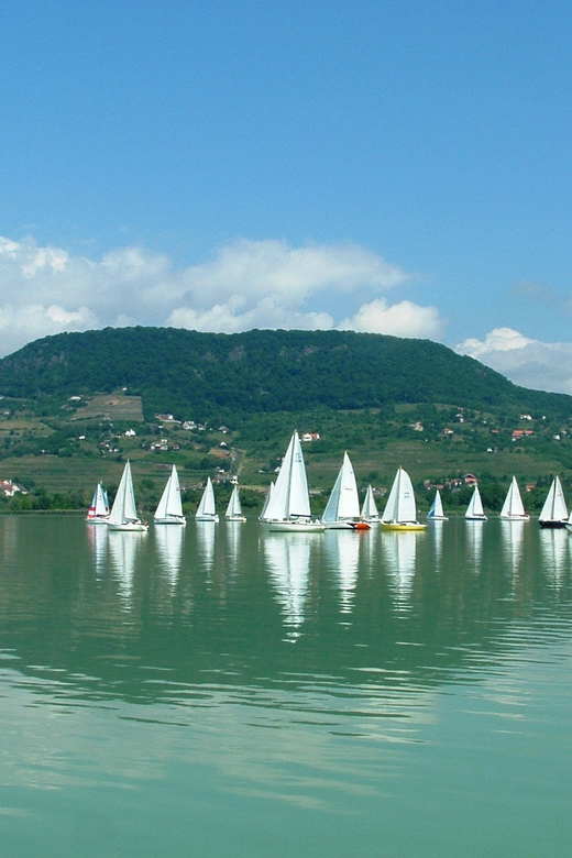Budapest: Lake Balaton & Herend Porcelain Private Day Tour - How the Price Measures Up