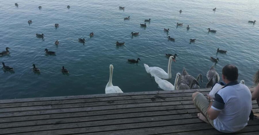 Budapest: Lake Balaton & Herend Porcelain Private Day Tour - Lake Balaton Views and the Balatonfüred Stop