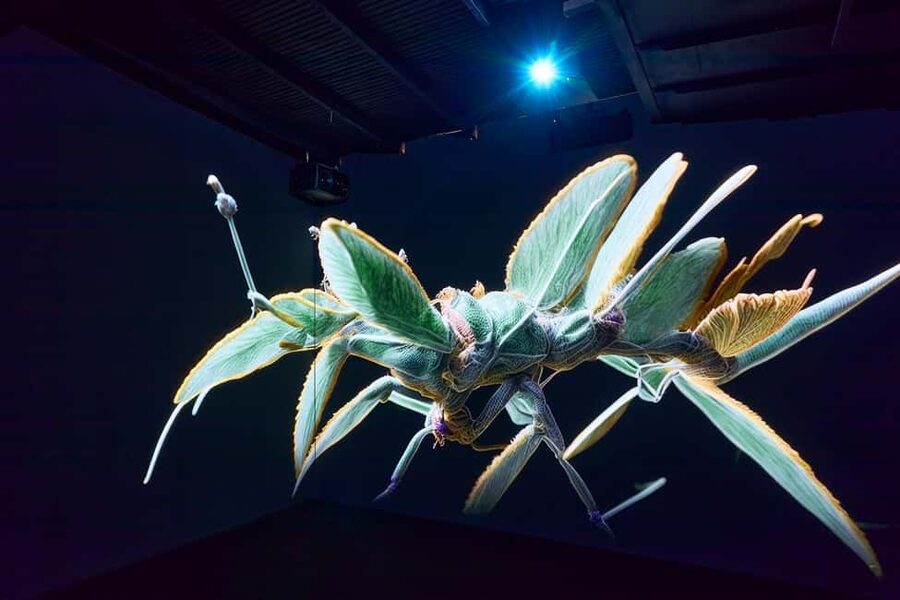 Budapest: Light Art Museum - Immersive New Media Experience - The dome, Sphere, and other memorable stops