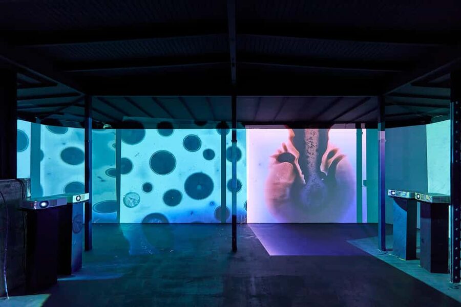 Budapest: Light Art Museum - Immersive New Media Experience - What the museum is like for children