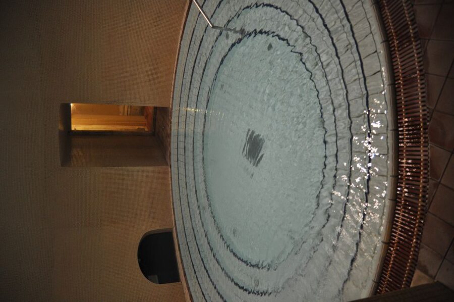 Budapest: Lukács Thermal Bath Full-Day Spa Ticket - Saunas and Steam Rooms With Different Atmospheres