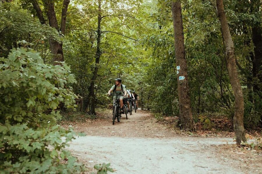 Budapest Peaks: Off-Road eBike Tour - Leaving the Danube for Buda’s wooded hills