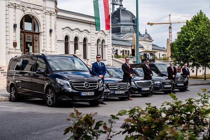 Budapest Private Airport Transfer in a Luxury Minivan - Professional service and the arrival welcome