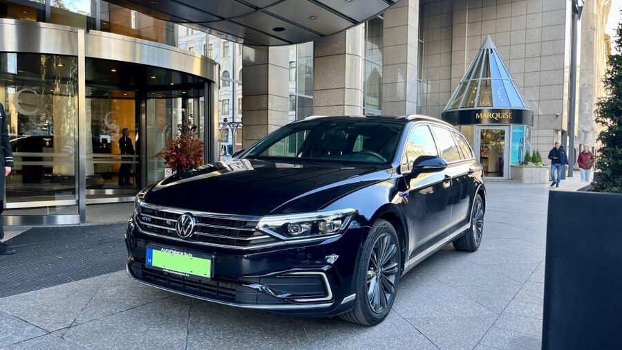 Budapest: Private Sightseeing Tour by car - What the private format changes