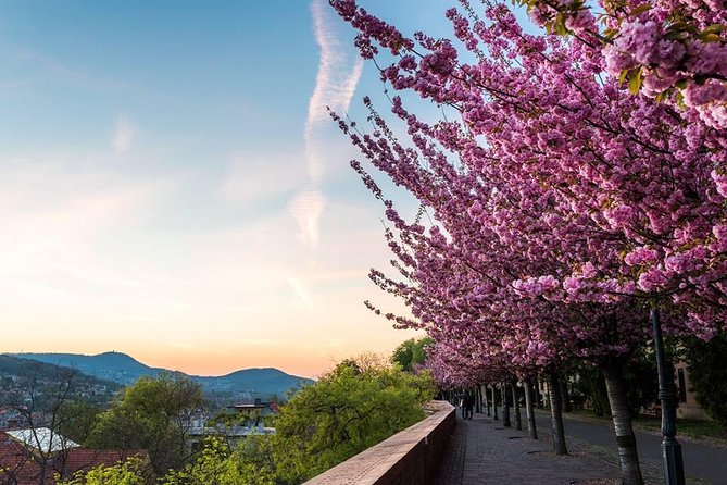 Budapest Private Walking Tour - City Park, Vajdahunyad Castle, and the bath tradition
