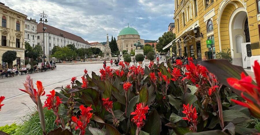 Budapest: Private Walking Tour with a Local Guide - Starting at St. Stephen’s Basilica in central Budapest