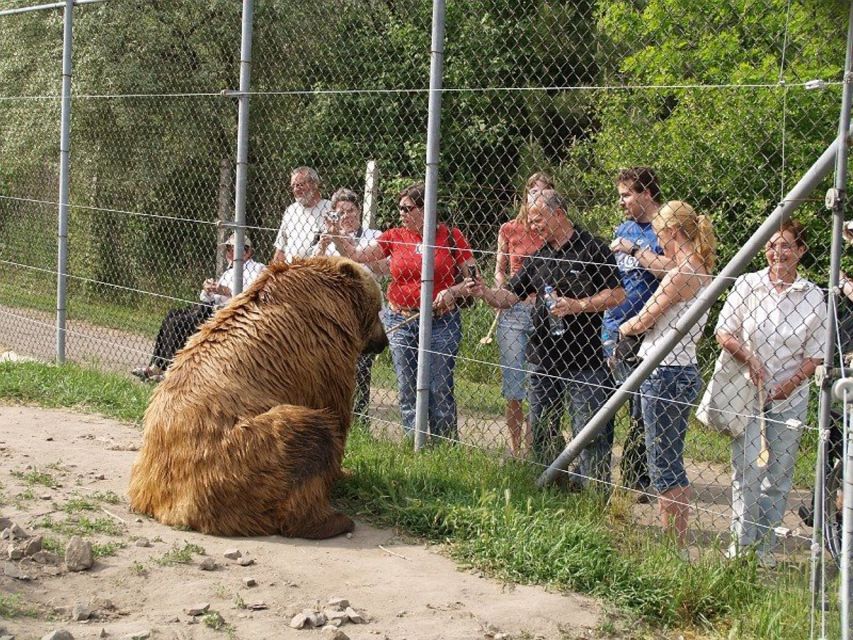 Budapest: Transport & Guided Tour of Bear and Wolf Sanctuary - From Batthyány tér to the sanctuary