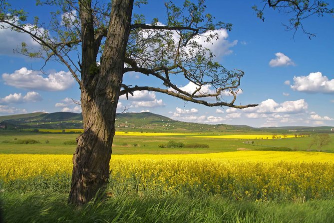 Budapest-Vienna One-Way Sightseeing Transfer - Bratislava Old Town in a short hour