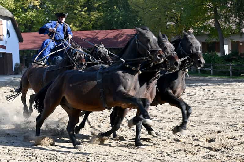 Countryside ranch, horse show & lunch - From Batthyány Square to the Hungarian countryside