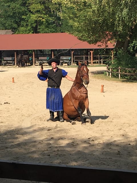Countryside ranch, horse show & lunch - Goulash, strudel, palinka, and wine