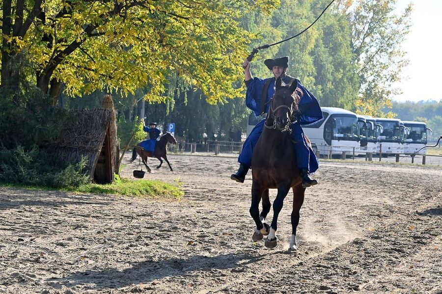 Countryside ranch, horse show & lunch - Who will enjoy this tour most?