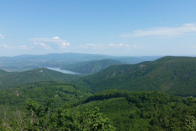 Danube Bend Full-Day Private Tour From Budapest - What the private setup really adds