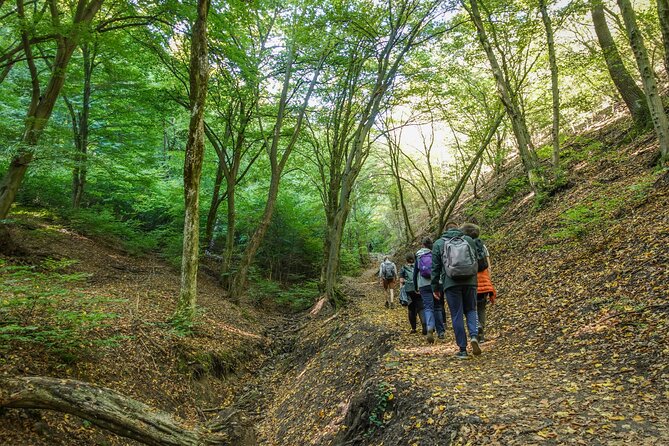 Danube Bend Hiking and Kayaking - The riverside bar and the value of $166.80