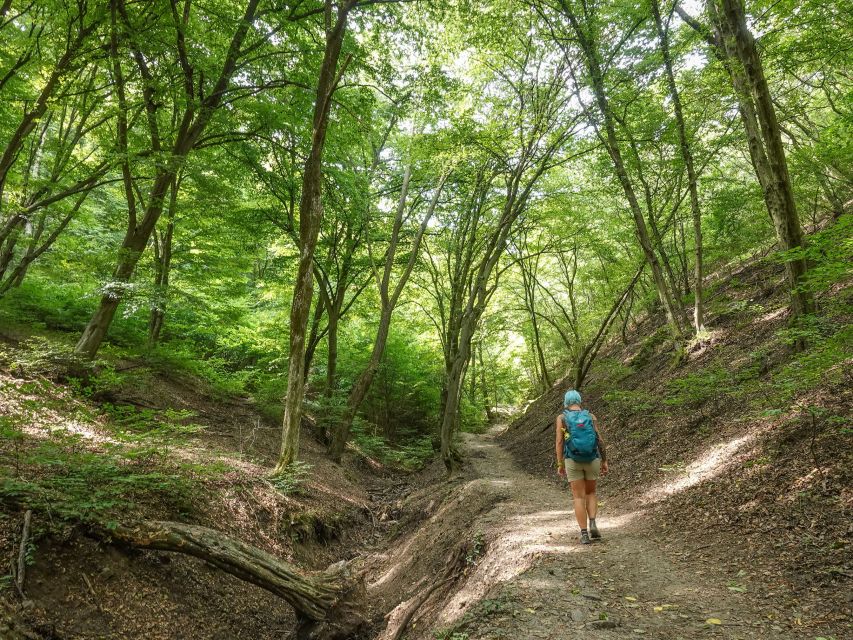 Danube Bend Hiking and Kayaking Adventure - Key points to know before booking