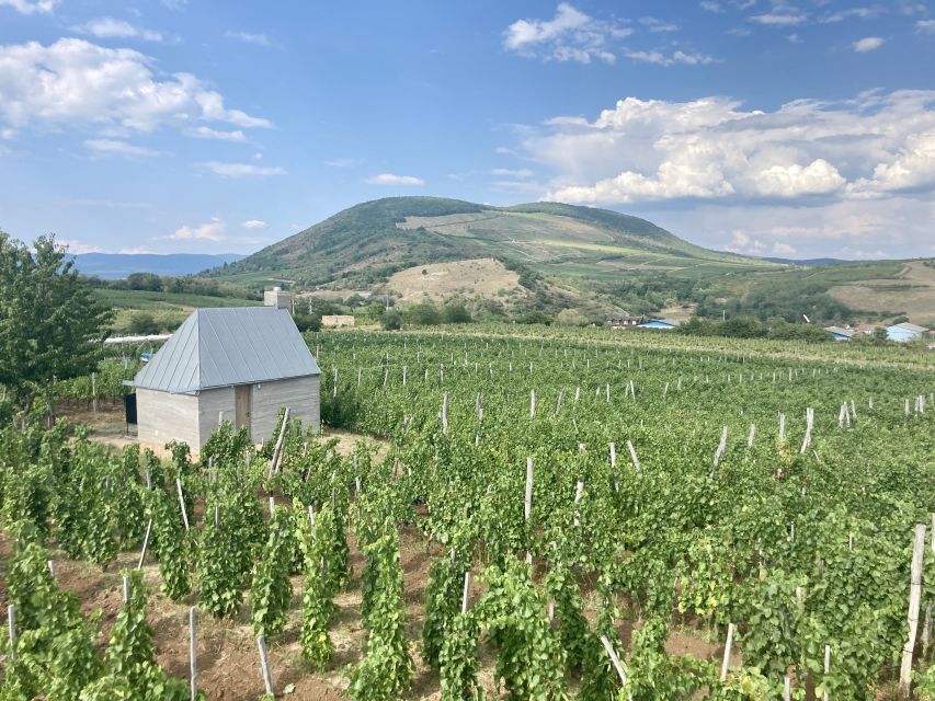 Eger: Countryside, Culture, and Wine Private Tour - The drive from Budapest to Eger