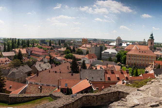 Eger Private Full-Day Wine Tasting Tour and Sightseeing from Budapest - Timing, group size, and overall value