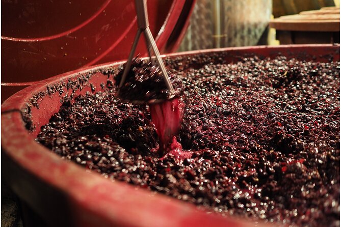 Etyek Private Half-Day Wine Tasting Tour from Budapest - Who Should Book This Etyek Tour?