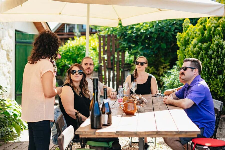 From Budapest: Etyek Wine Tasting Tour with 3-Course Meal - Entering Etyek’s family-run wine cellars