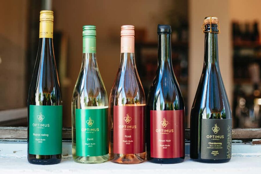 From Budapest: Etyek Wine Tasting Tour with 3-Course Meal - Who will enjoy this Etyek tour most?