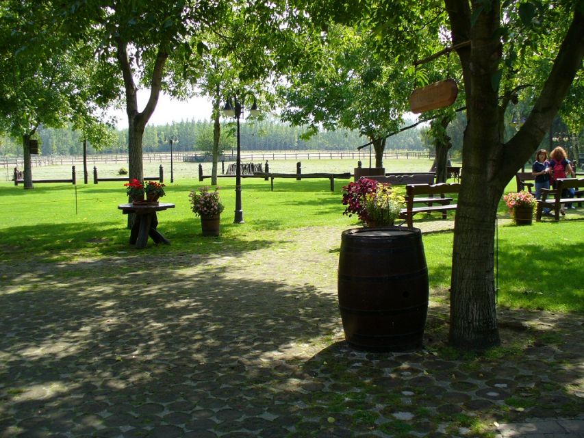 From Budapest: Full-Day Puszta Tour with Lunch and Show - Key Points to Know Before You Go