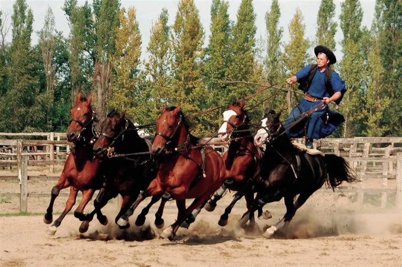 From Budapest: Full-Day Puszta Tour with Lunch and Show - The Road to Lajosmizse and the Ranch Welcome