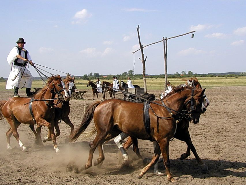 From Budapest: Full-Day Puszta Tour with Lunch and Show - Who Will Enjoy This Day Most?