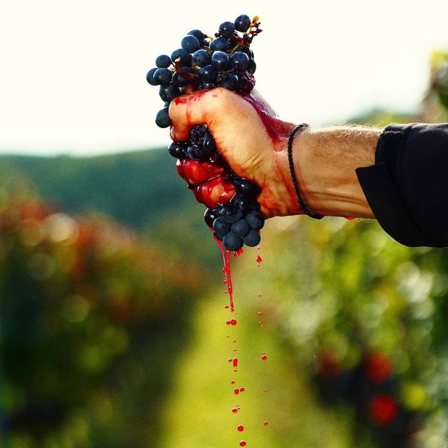 From Budapest: Guided Tour of Eger with Wine Tasting - Wine tasting in Szépasszony-völgy