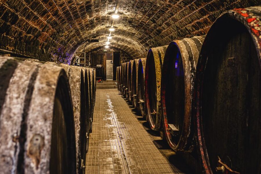 From Budapest: Mátra Hills Wine Tour - Who should book this wine tour?