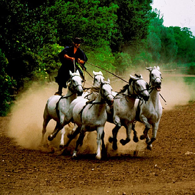 From Budapest: Puszta Horse Show and Countryside Visit - Key points to know before booking