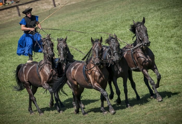 From Budapest: Puszta Horse Show and Countryside Visit - Why leave Budapest for the Puszta?