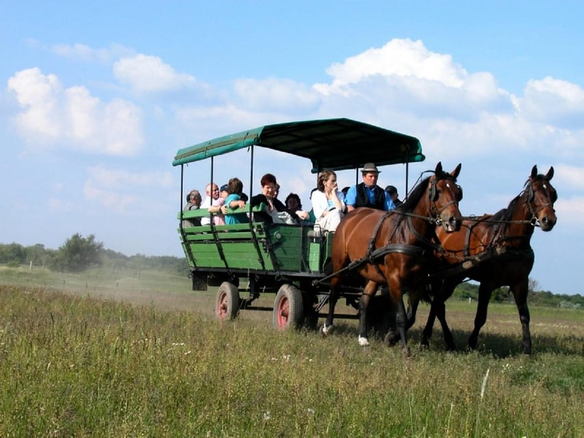 From Budapest: Puszta Horse Show and Countryside Visit - Lajosmizse and the traditional farm