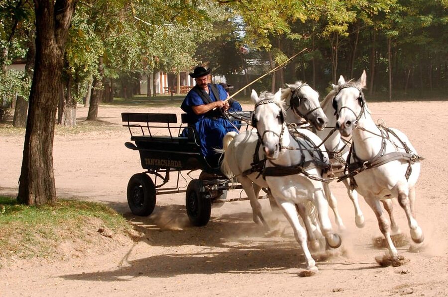 From Budapest: Puszta Horse Show and Countryside Visit - Lunch: hearty Hungarian food at the farm