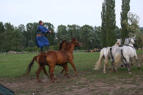 From Budapest: Puszta Horse Show and Countryside Visit - The journey from Budapest