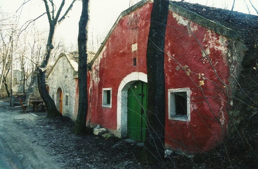 From Budpaest: Páty Wine Village Tour with Tastings - Walking among Páty’s old cellar rows