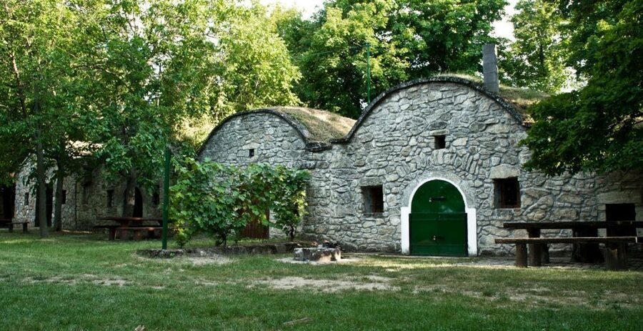 From Budpaest: Páty Wine Village Tour with Tastings - Miki’s guiding style and the value of a small group